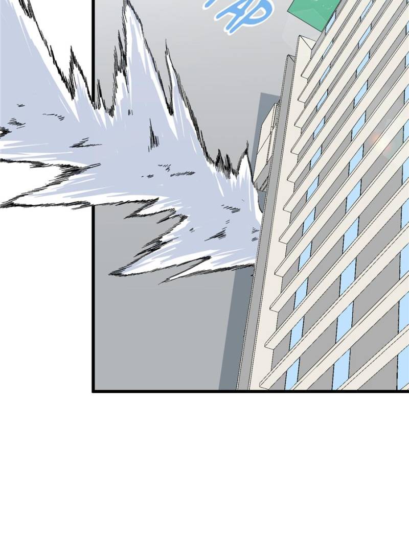 80676586 800 1067 86089